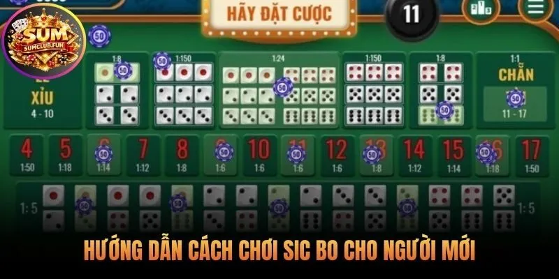 Luật chơi Sic Bo và các bước tham gia một ván đấu