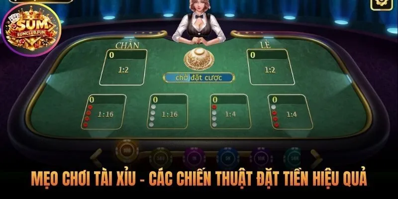Mẹo chơi tài xỉu qua các chiến thuật vào tiền hệ thống