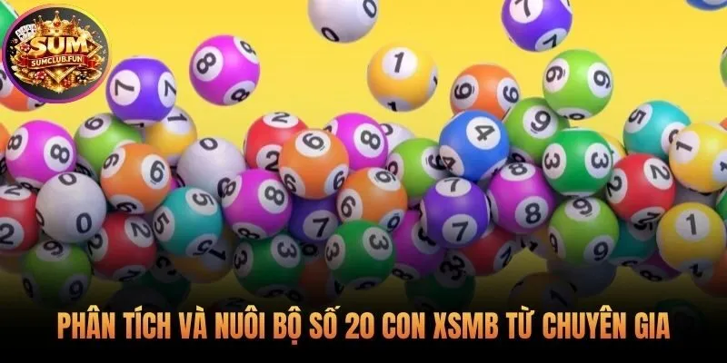 Kỹ thuật phân tích cầu và nuôi khung từ các chuyên gia